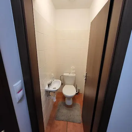 Excellent In Center 5 Min Walk From The Colonnade Apartman Karlovy Vary