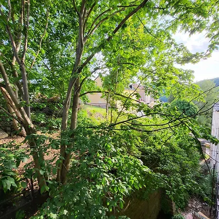 Excellent In Center 5 Min Walk From The Colonnade Apartman Karlovy Vary