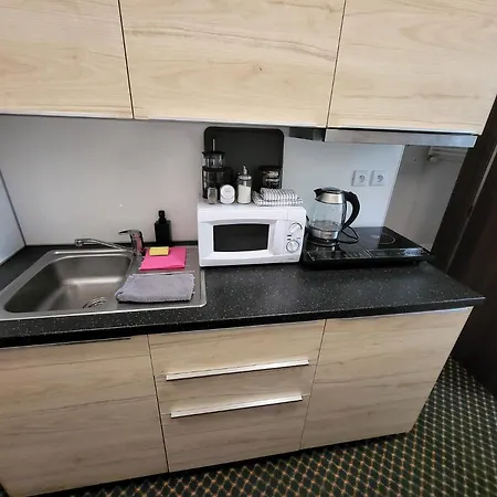 Excellent In Center 5 Min Walk From The Colonnade 아파트 카를로비바리
