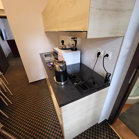 Excellent In Center 5 Min Walk From The Colonnade 카를로비바리