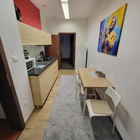 Excellent In Center 5 Min Walk From The Colonnade * 카를로비바리